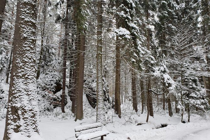Adrspach Teplice Rocks Filming Site of The Chronicles of Narnia - Price and Inclusions: Is $132.16 Good Value Here?