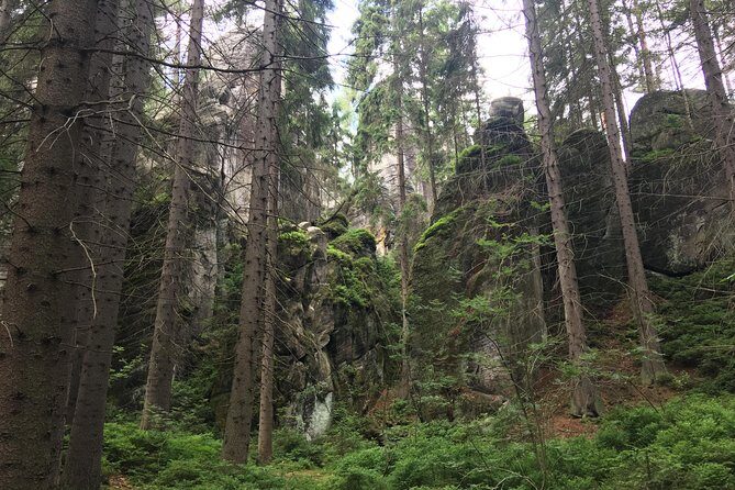 Adrspach Teplice Rocks Filming Site of The Chronicles of Narnia - Should You Book This Wrocław to Adršpach Day Trip?