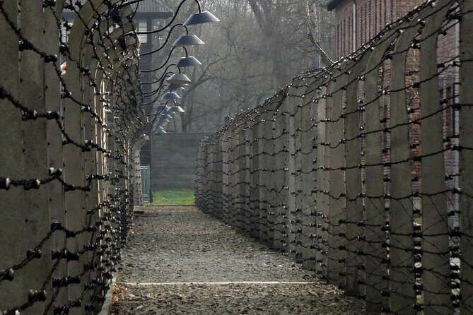 Auschwitz and Birkenau Guided Tour from Krakow - Door-to-door pickup in Krakow (and the ride details that matter)