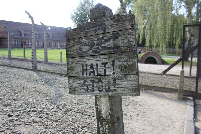 Auschwitz and Birkenau Memorial and Museum Guided Tour from Krakow - Small group + headsets: why this setup works