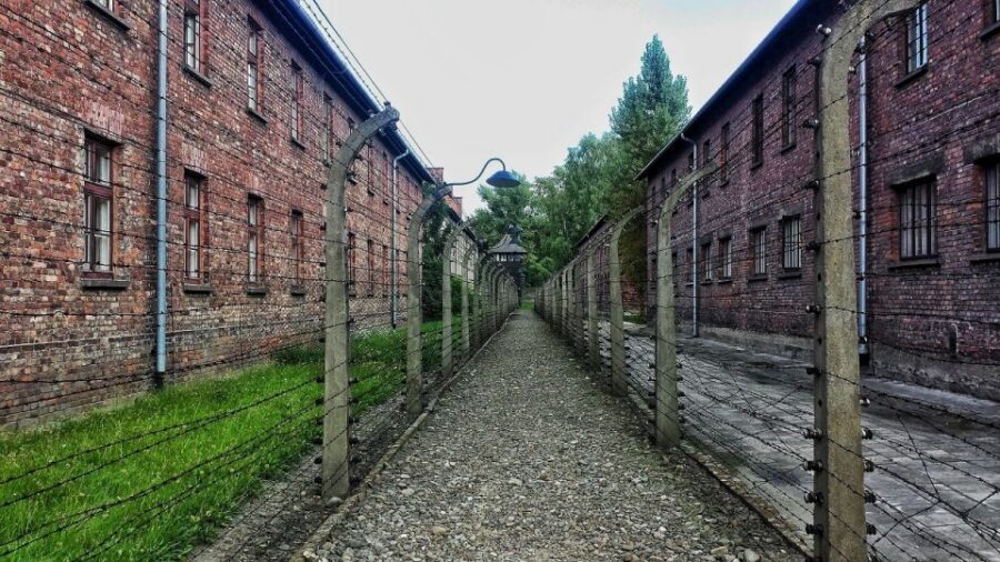Auschwitz-Birkenau and Krakow Private Car Trip from Katowice - The Licensed Guide Factor: How the Tour Keeps You Oriented