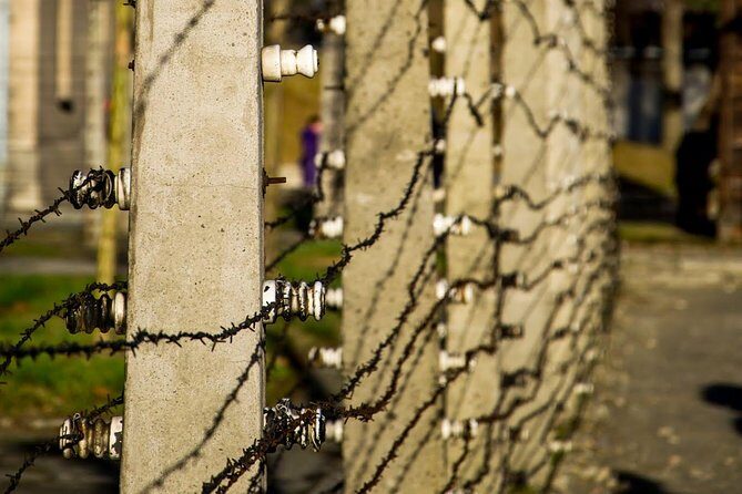 Auschwitz Birkenau and Salt Mine Full Day Guided Tour from Krakow hotel pick up - Comfort, Small Groups, and the Driver Experience