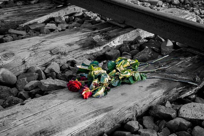 Auschwitz Birkenau and Salt Mine Full Day Guided Tour from Krakow hotel pick up - Who This Tour Suits Best (and Who Should Rethink It)