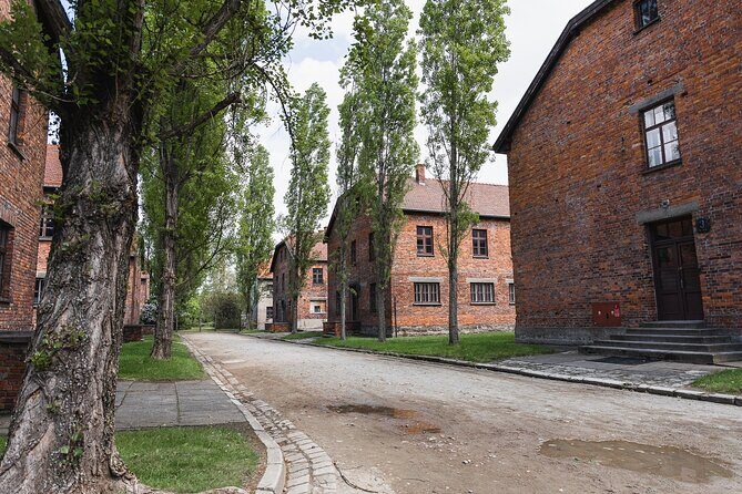 Auschwitz Birkenau and Wieliczka Salt Mine Day Tour from Krakow - Birkenau: where the scale hits hard