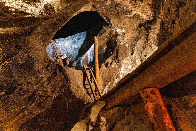 Auschwitz Birkenau and Wieliczka Salt Mine Day Tour from Krakow - The pace: walking load, early morning fatigue, and coping smart