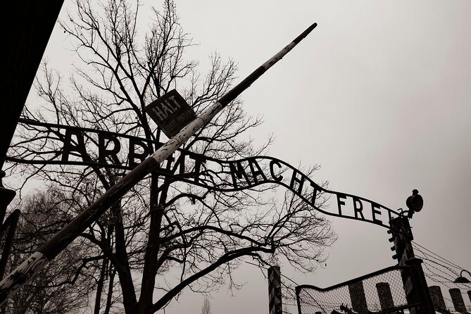 Auschwitz-Birkenau and Wieliczka Salt Mine Day Tour from Krakow with private car - Key Points You Should Know Before You Go