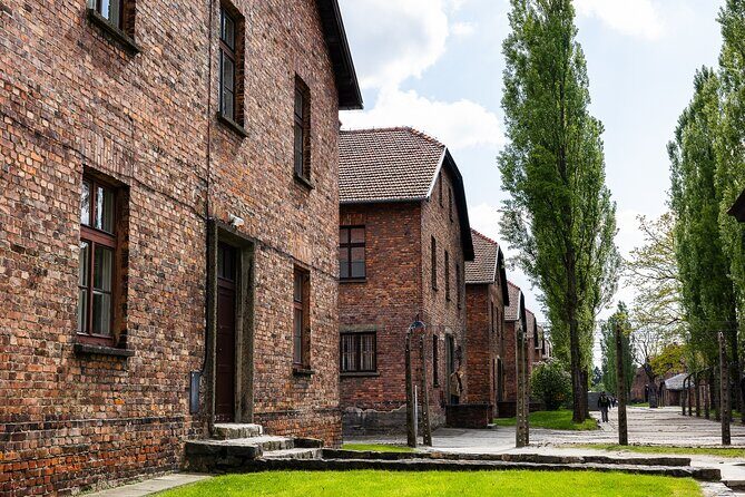 Auschwitz-Birkenau: Day Trip & Transfer from Kraków - Price and value: why $57.50 can be fair (or not)