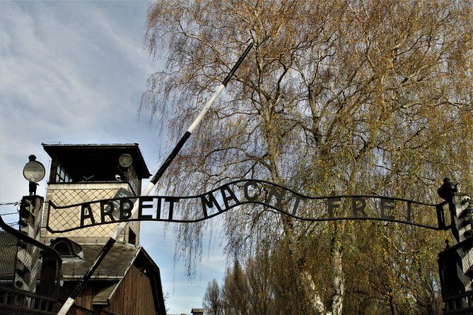 Auschwitz-Birkenau Guided Tour by Private Transport from Krakow - Birkenau: scale, walking, and why the day can feel physically tough