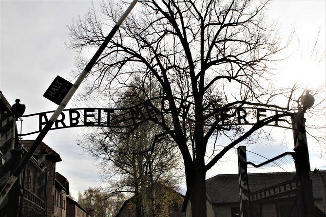 Auschwitz-Birkenau Guided Tour by Private Transport from Krakow - Options explained: private, shared, and round-trip without the camp guide