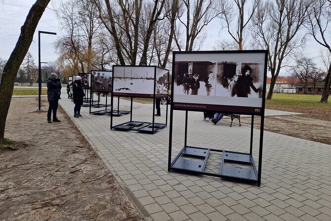 Auschwitz-Birkenau Guided Tour from Krakow opt. with Hotel Pickup - Birkenau: scale, ruins, and the hardest hour of the trip