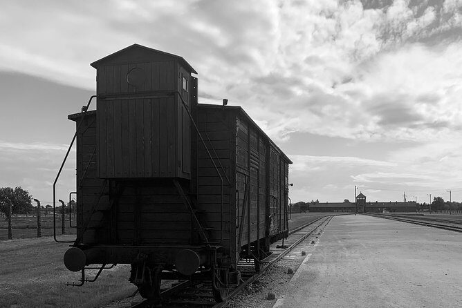 Auschwitz-Birkenau guided tour from Krakow - private car - Shared museum guiding (up to 30): what that means for your experience