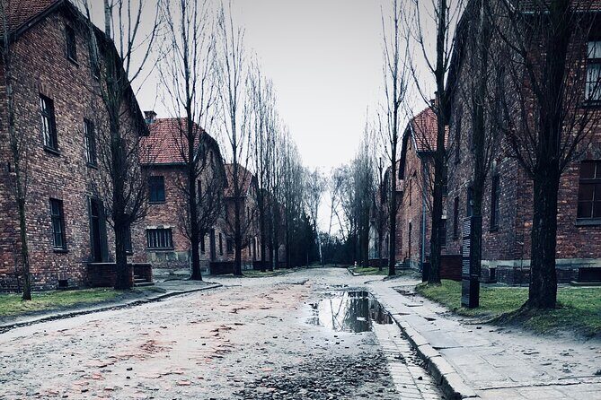 Auschwitz-Birkenau Guided Tour with Private Transport from Kraków - What This Tour Feels Like on the Ground (Heavy, But Well Managed)