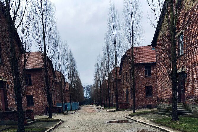 Auschwitz-Birkenau Guided Tour with Private Transport from Kraków - Who Should Book This Private Day Trip, and Who Might Rethink It