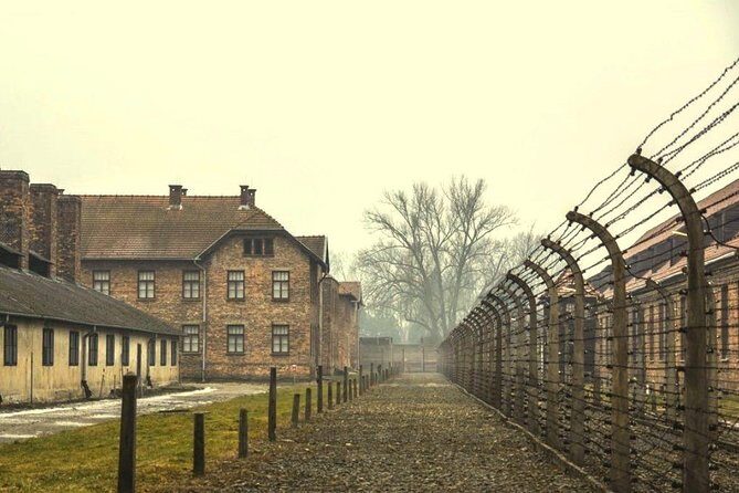 Auschwitz Birkenau Memorial and Museum group tour from Krakow - Who should book this Auschwitz-Birkenau tour from Krakow?