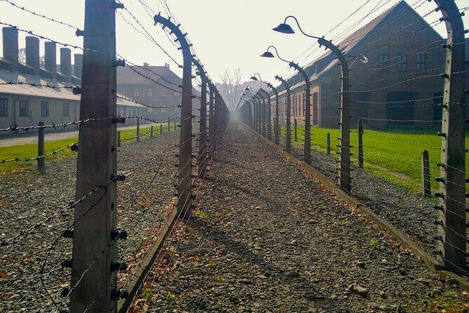Auschwitz-Birkenau Memorial and Museum Guided Tour from Krakow - Lunch and Comfort: What You Can Plan for on a Long Day