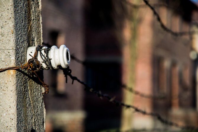 Auschwitz-Birkenau Memorial and Museum with Private Transfers from Krakow - Auschwitz: prison blocks, exhibits, and what to focus on