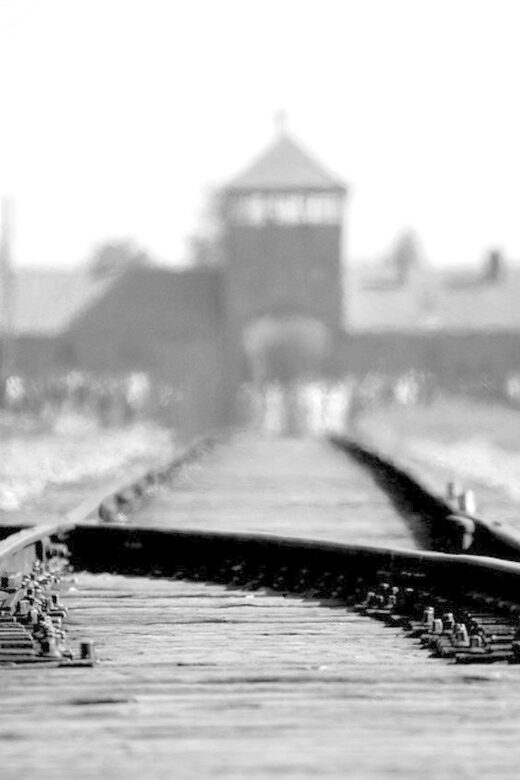 Auschwitz-Birkenau: Memorial Entry Ticket and Guided Tour - Key things that make this tour worth your attention