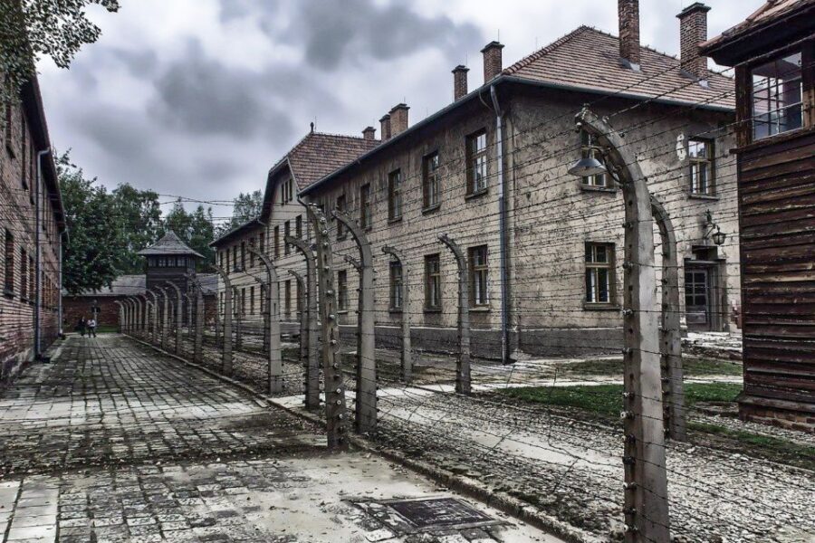 Auschwitz-Birkenau: Museum Entry Ticket with Guided Tour - Should You Book This Guided Auschwitz-Birkenau Ticket?