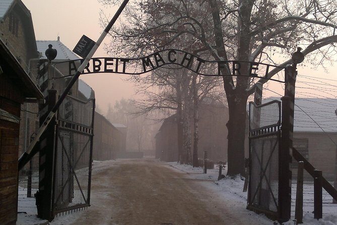 Auschwitz-Birkenau Museum Tour from Krakow - From Krakow to Oświęcim: Why this tour works logistically