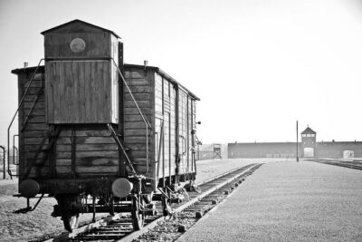 Auschwitz-Birkenau Museum Tour from Krakow - What your $92 covers (and where your money goes)