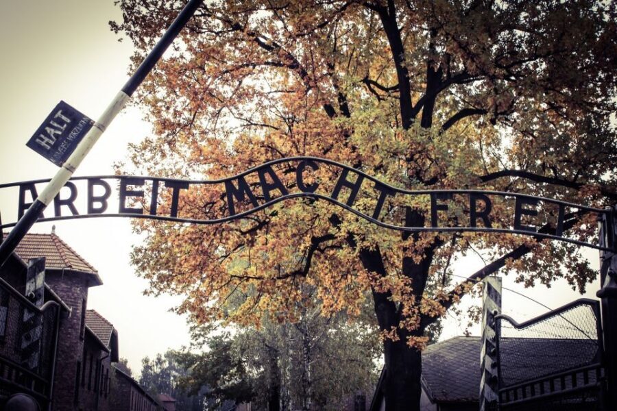 Auschwitz-Birkenau Private Tour from Katowice & Transport - The Licensed English Guide: What You Gain Over a Self-Visit