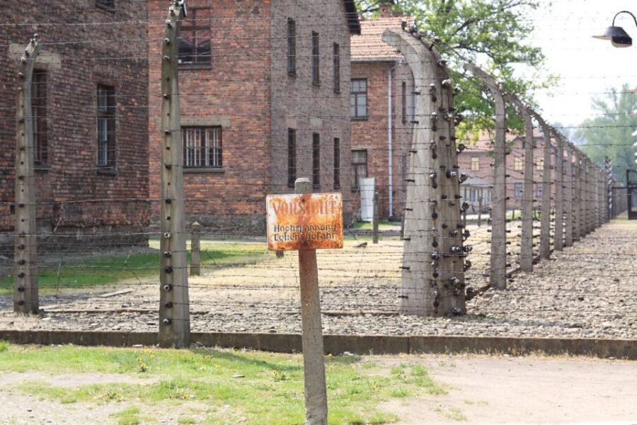 Auschwitz-Birkenau Private Tour from Katowice & Transport - Group Tour, Up to 30 People: How the Headsets Keep It Manageable
