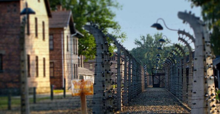 Auschwitz-Birkenau Private Tour from Katowice & Transport - Your ID, the Queue, and Limited Ticket Entry