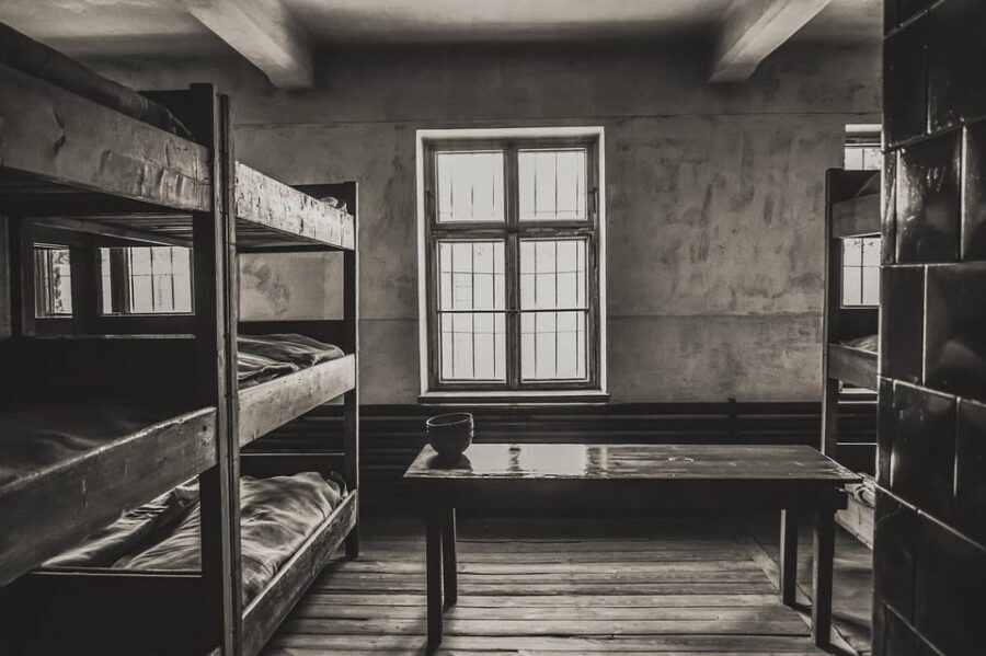 Auschwitz-Birkenau & Salt Mine Tour in One Day from Krakow - Key points you’ll care about