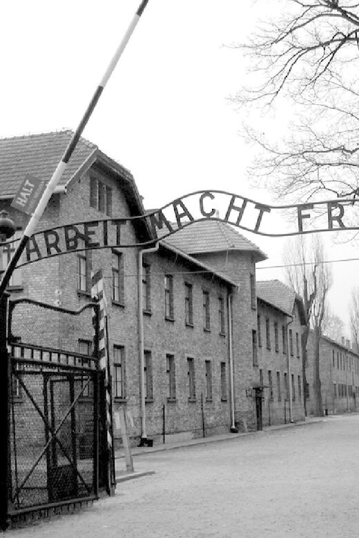 Auschwitz-Birkenau & Salt Mine Tour in One Day from Krakow - What you’ll learn there, beyond the obvious photos