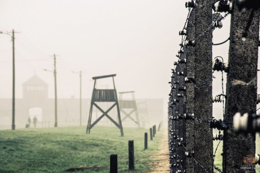 Auschwitz-Birkenau: Skip-the-Line Entry Ticket & Guided Tour - The barracks and exhibitions: what to look for when emotion is running high