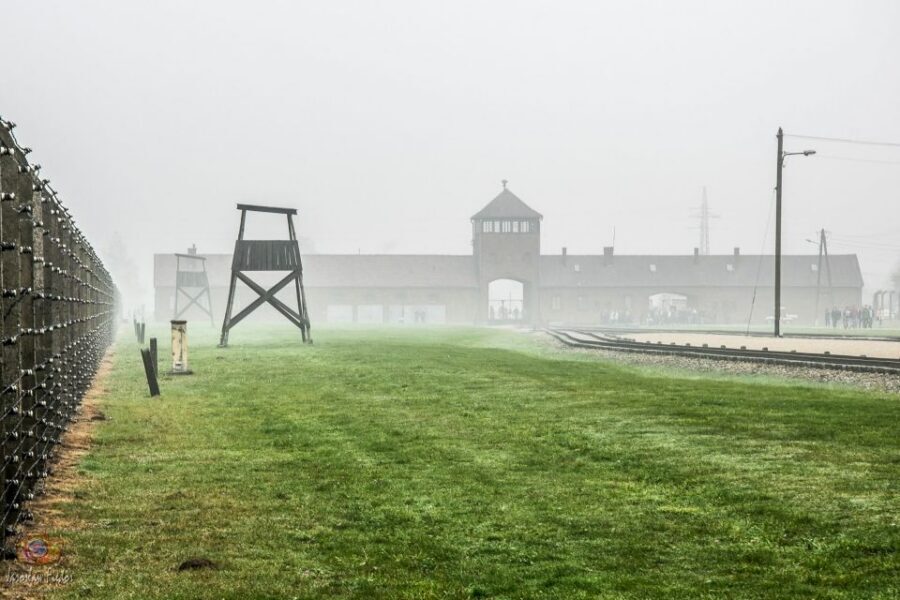 Auschwitz-Birkenau: Skip-the-Line Entry Ticket & Guided Tour - Timing, group flow, and the most common “small annoyances” to plan for