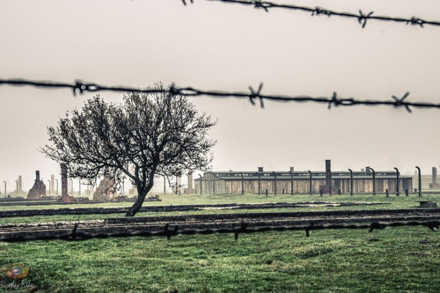 Auschwitz-Birkenau: Skip-the-Line Entry Ticket & Guided Tour - Getting in fast: tickets, security, and what to bring (and skip)