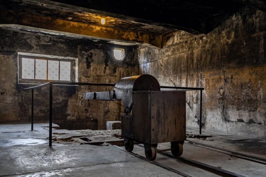 Auschwitz-Birkenau Skip-the-Line Ticket and Guided Tour - Walking, Breaks, and Weather: Your Real Enemies