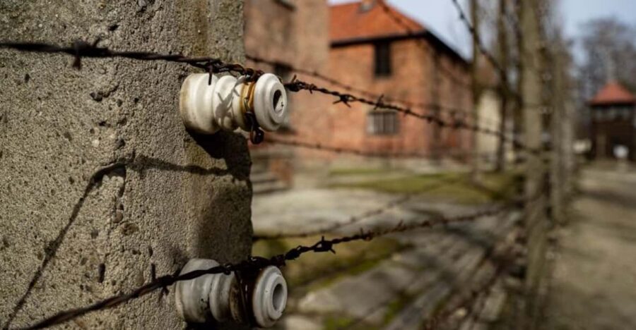 Auschwitz-Birkenau Skip-the-Line Ticket and Guided Tour - Headset Comfort: Hearing the Guide Without Straining