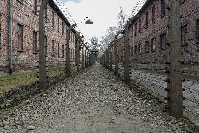 Auschwitz-Birkenau & Wieliczka in one day (Guided tour) - Value for money: is $156 a good deal for Auschwitz plus Wieliczka?