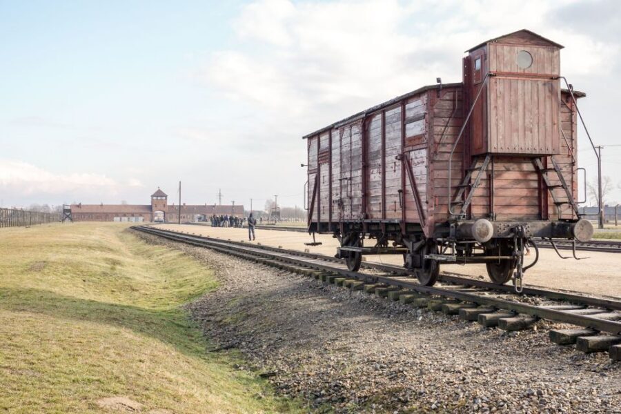 Auschwitz Ticket and Full-Day Tour from Krakow - Auschwitz II-Birkenau: Extermination Camp Walk + the Timing That Matters