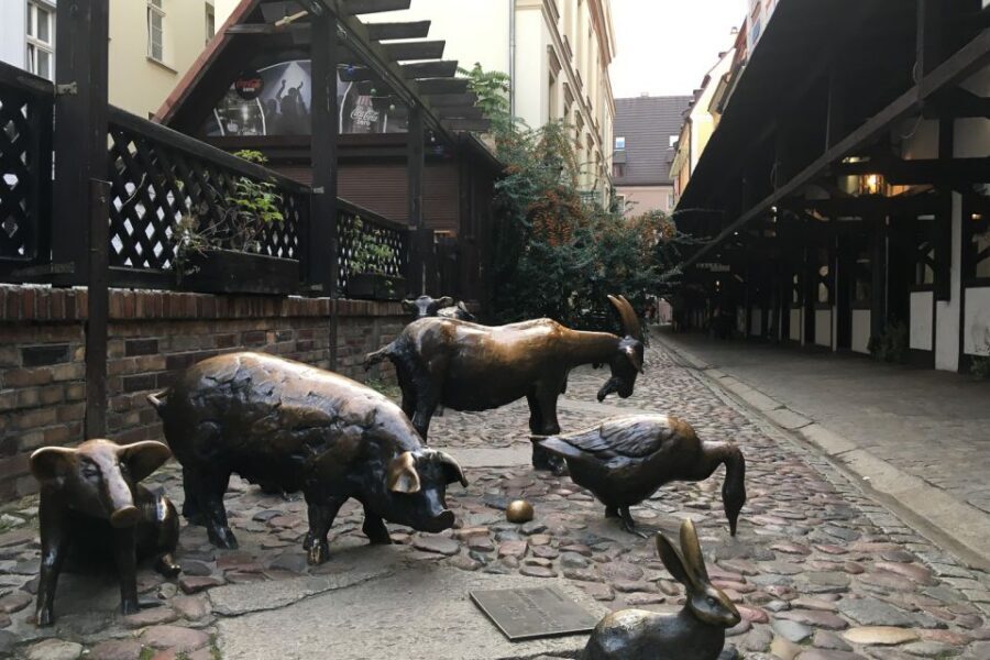 Best of Wroclaw 3-Hour History and Culture Walking Tour - Where you’ll start on Rynek (and why it’s a smart move)