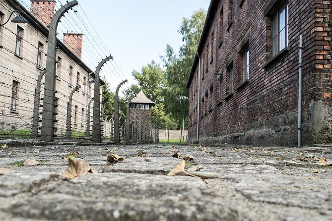 Combined: Auschwitz Birkenau and Salt Mine private chauffeur from Krakow - Price and value: what $294.37 per person really covers