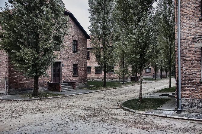 Combined tour Auschwitz Birkenau guided & Salt Mine guided from Krakow - The Walking, Timing, and Emotional Load You Should Plan For