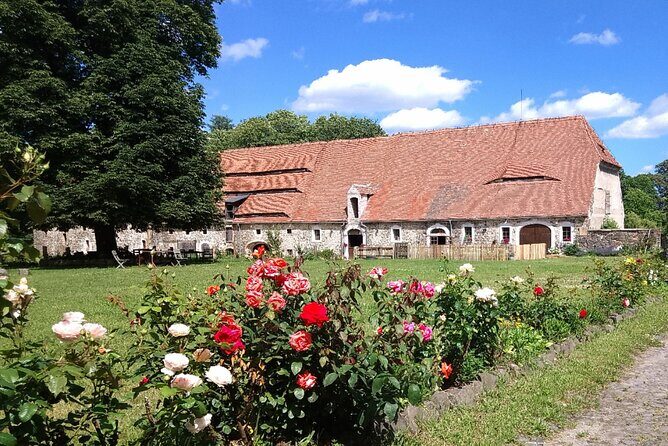 Country and Castle Tours by Carriage - Coffee and Cake: Why the Included Snack Matters More Than You Think