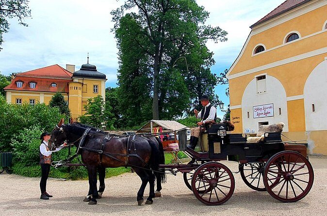 Country and Castle Tours by Carriage - Timing, Weather, and Getting Comfortable Outdoors