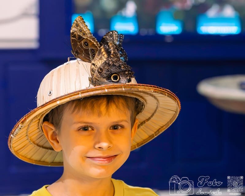 Cracow: 4 Mazes and Living Butterfly Museum Entry Ticket - Laser Maze: Reflexes, Patience, and a Game With Penalties