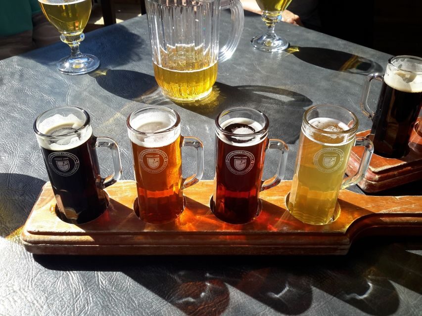 DAILY Beer Tasting Private Guided Tour at Best Warsaw Pubs - Who this tour is best for