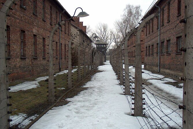 Exclusive Small Group Auschwitz-Birkenau Guided Tour from Krakow - Transfer to Birkenau: going from one camp to the bigger machine