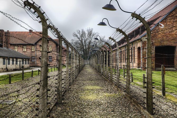 Exclusive Small Group Auschwitz-Birkenau Guided Tour from Krakow - Pickup and the early start: how to make the first hour go smoothly
