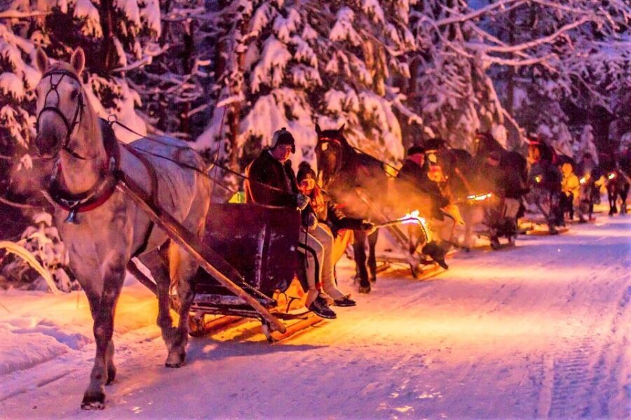 Fram Kraków: Tatra Mountain Sleigh Ride in Zakopane - Key things to know before you go