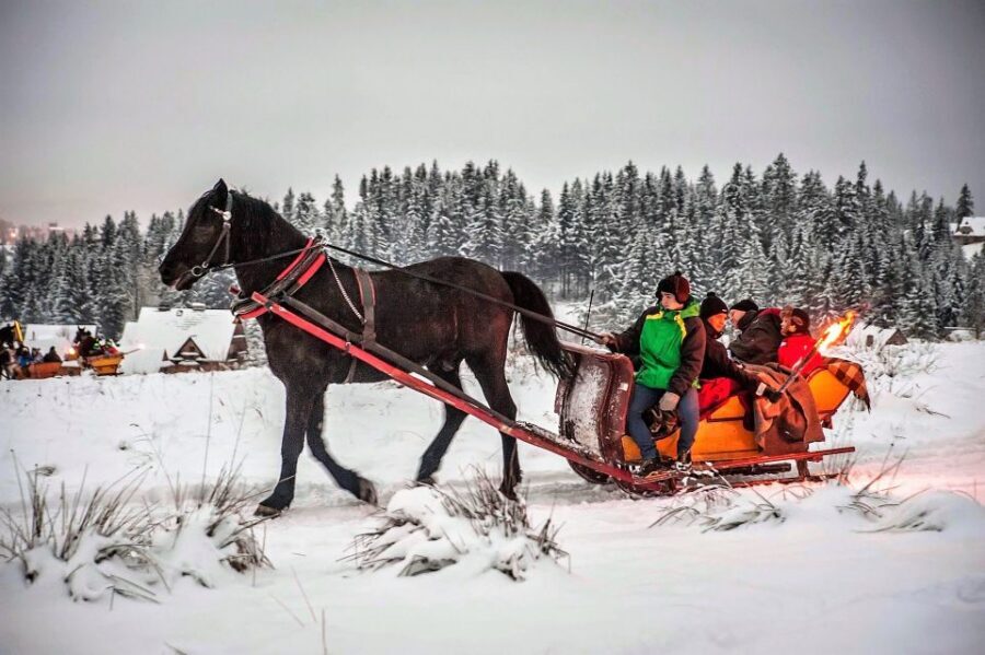 Fram Kraków: Tatra Mountain Sleigh Ride in Zakopane - From Kraków to Zakopane: what the long van day really means