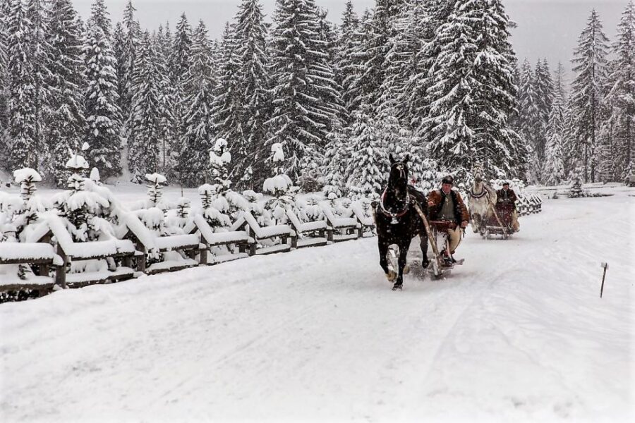 Fram Kraków: Tatra Mountain Sleigh Ride in Zakopane - The traditional sleigh ride in Chochołowska Valley: quiet, flat, and unforgettable