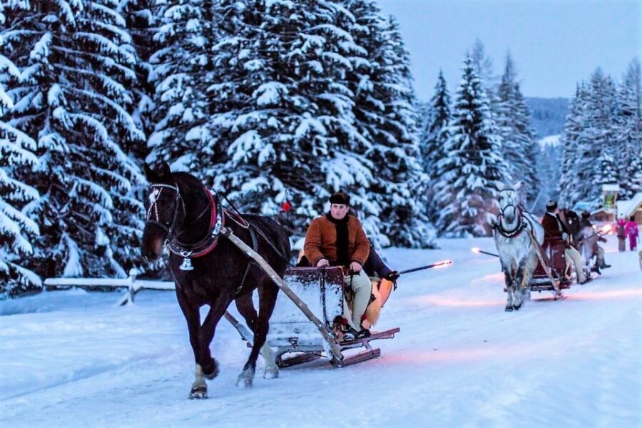 Fram Kraków: Tatra Mountain Sleigh Ride in Zakopane - Price and value: is $342 worth it for an 8-hour winter day?