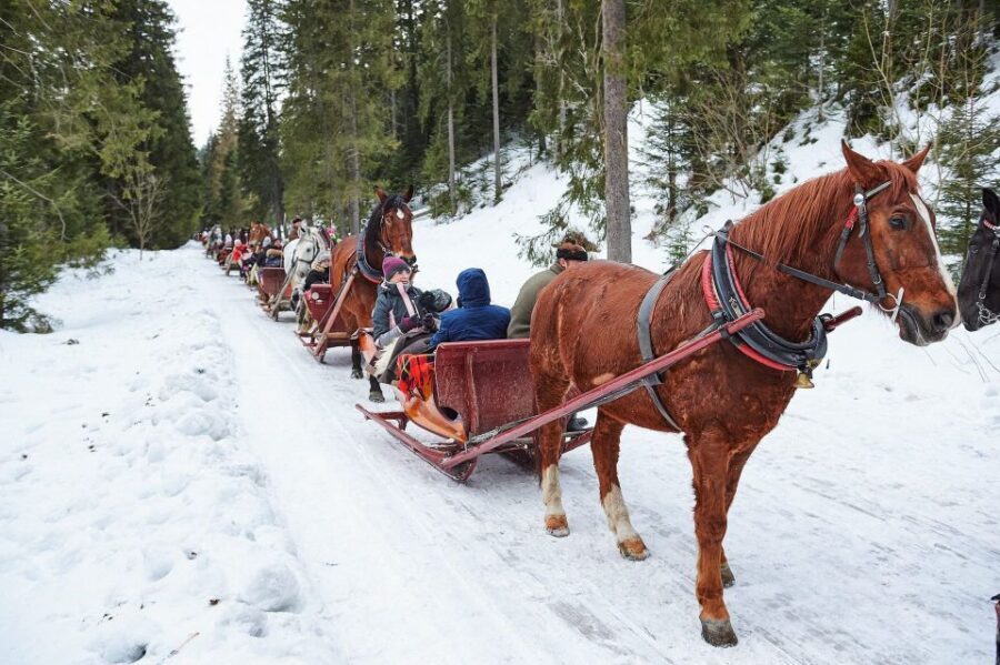 Fram Kraków: Tatra Mountain Sleigh Ride in Zakopane - Who this suits best: families, couples, and friends who want quiet magic